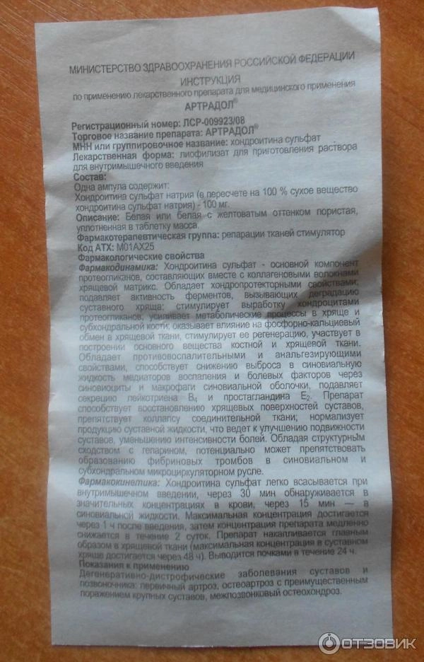53450265.webp